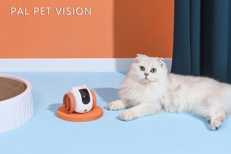 宠物产品/宠物用品之猫咪智能陪伴机器人